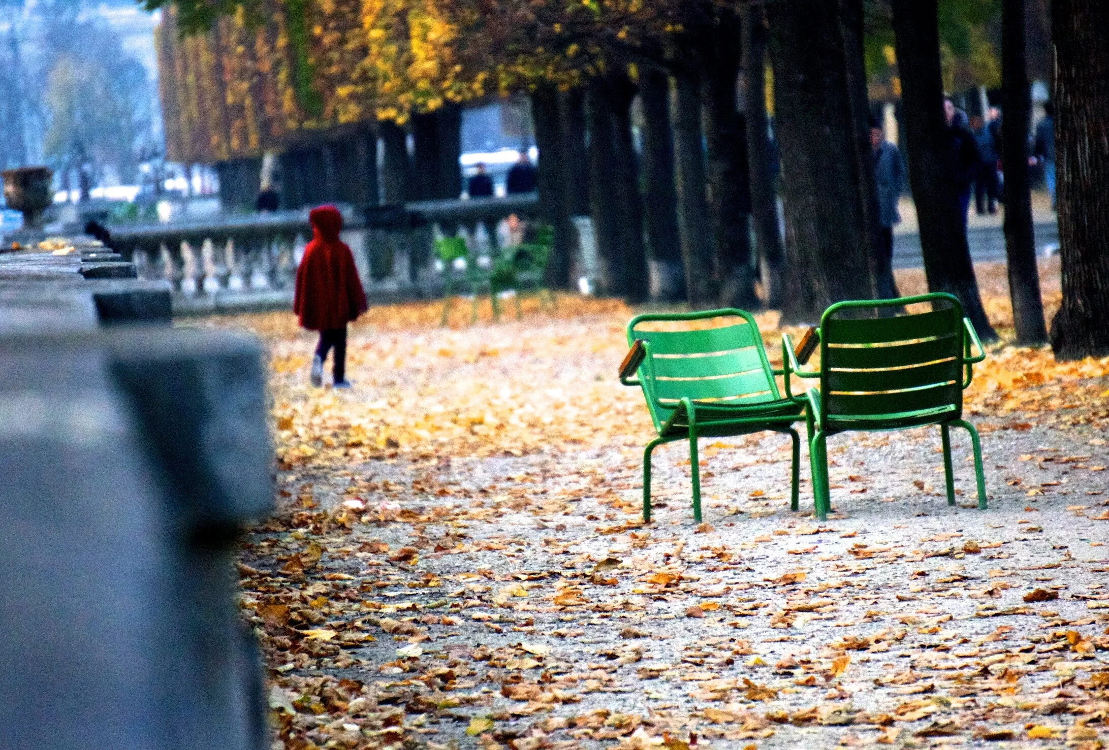 Little red riding hood