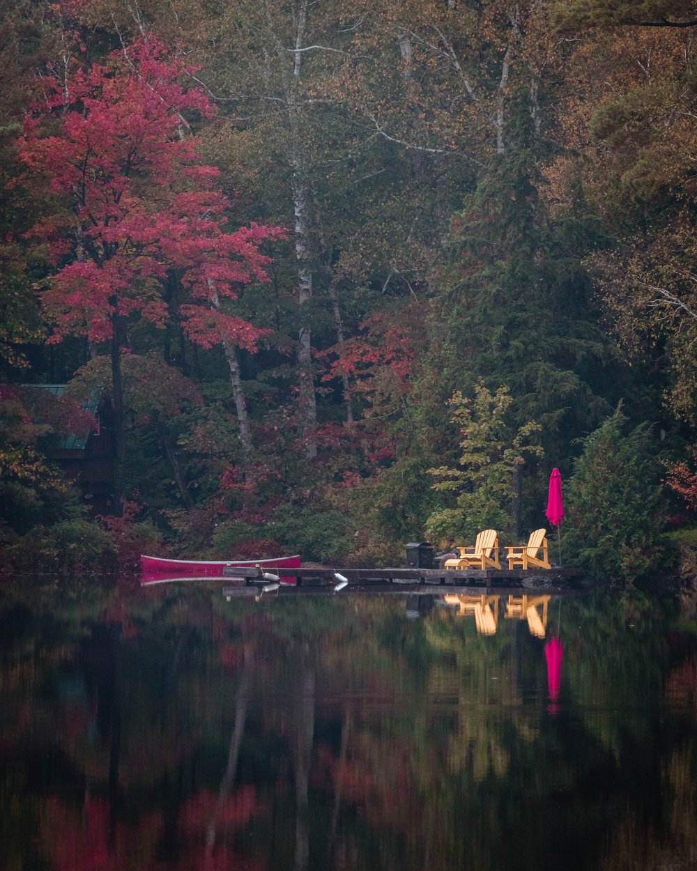 dock views autumn.jpeg