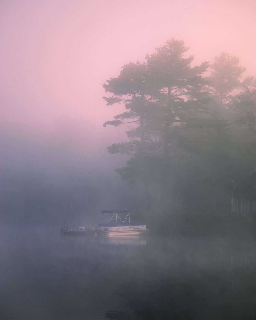 foggy mornings.jpeg