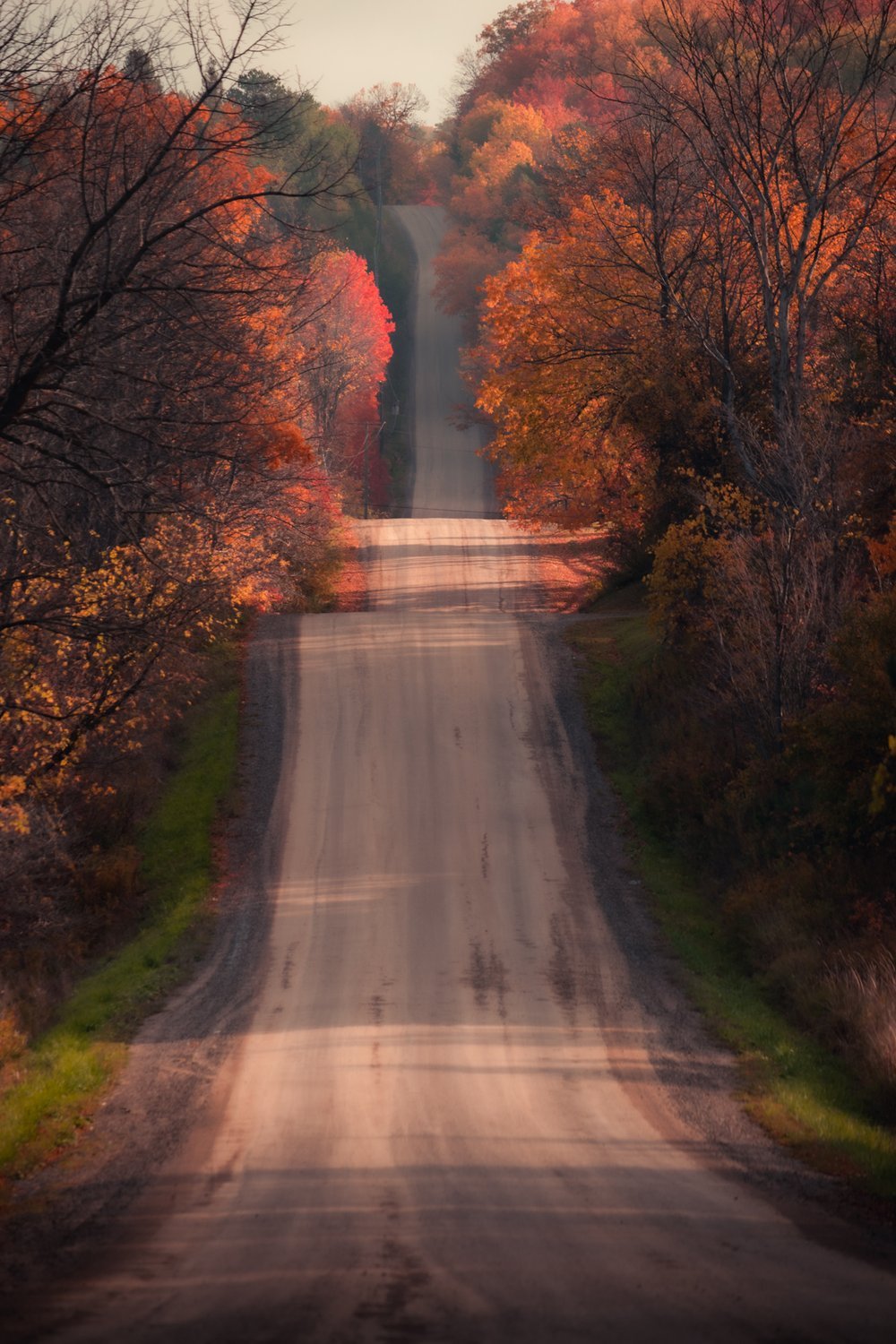 country roads.jpeg
