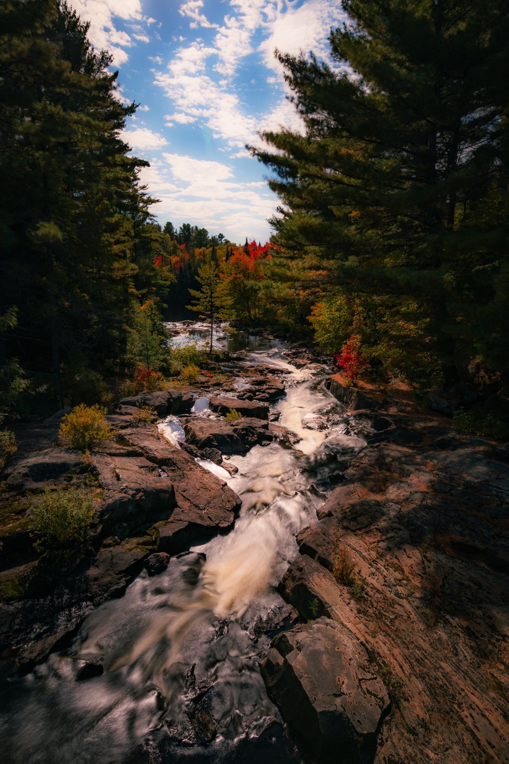 autumn falls.jpeg