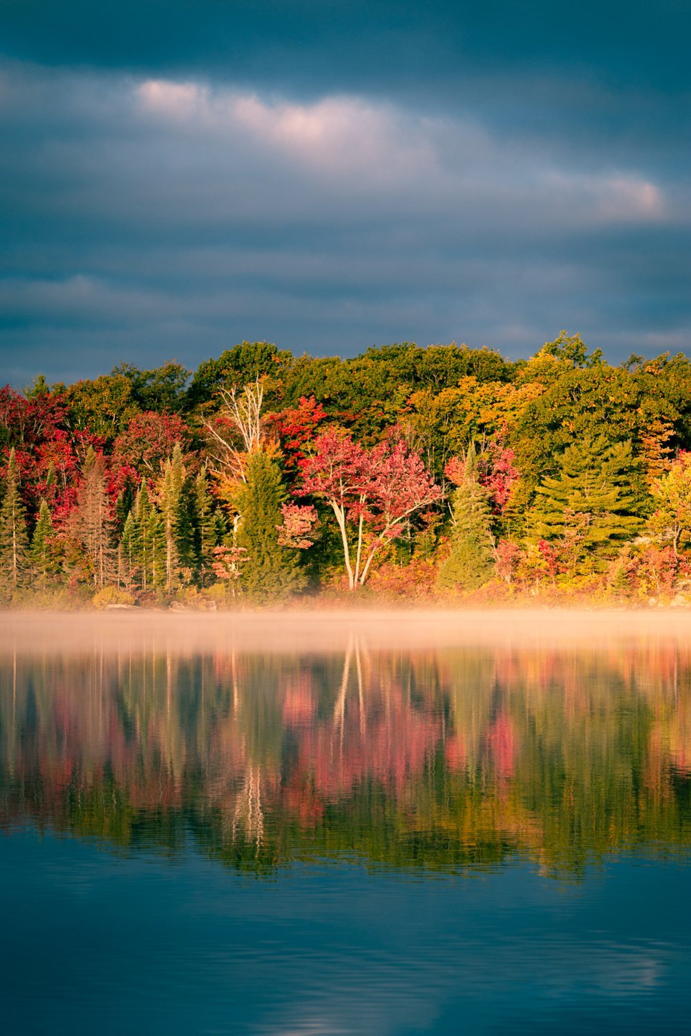 autumn morning mist.jpeg