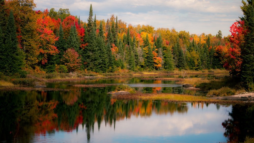 muskoka river.jpeg
