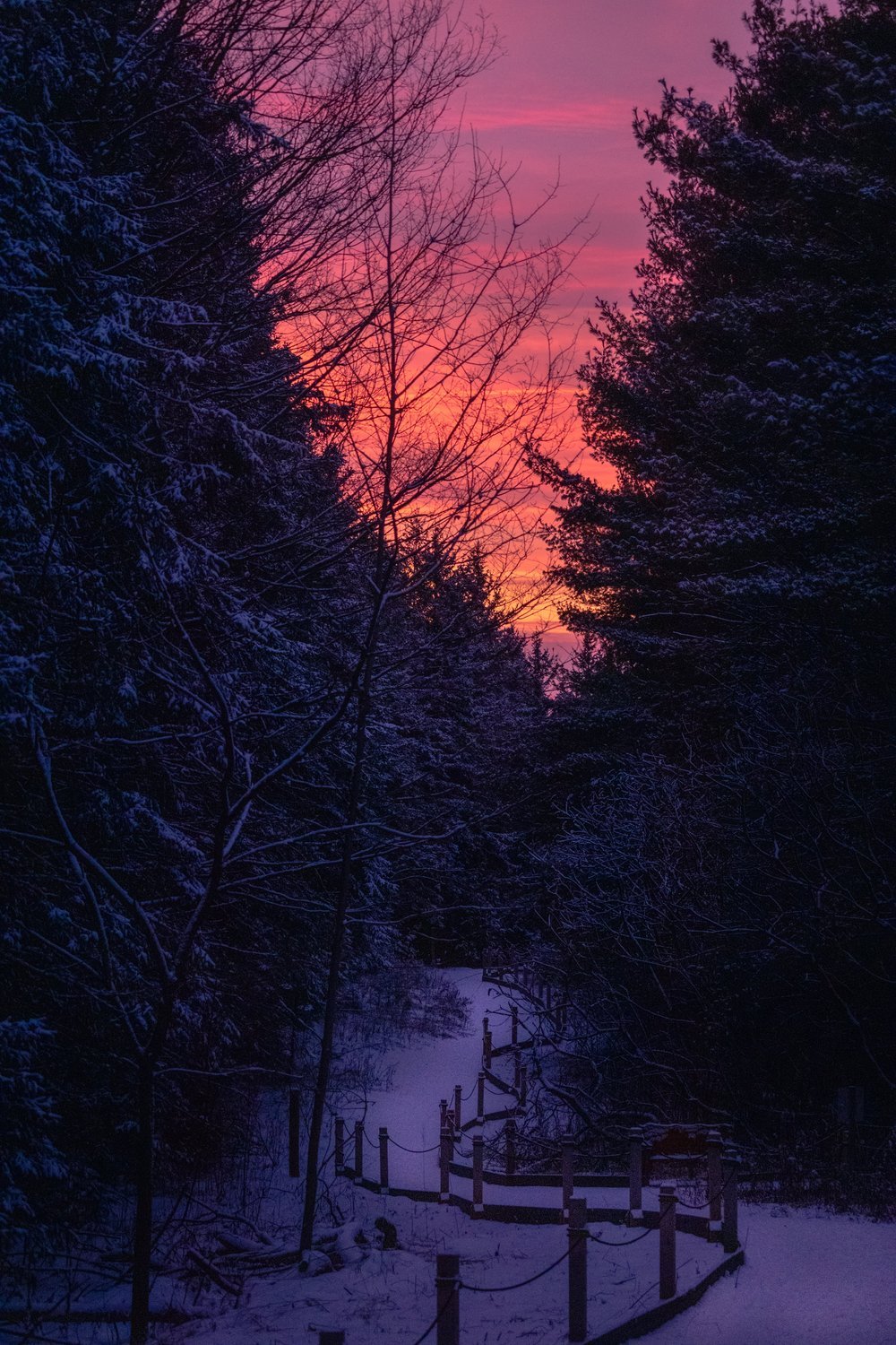 winter hikes.jpeg