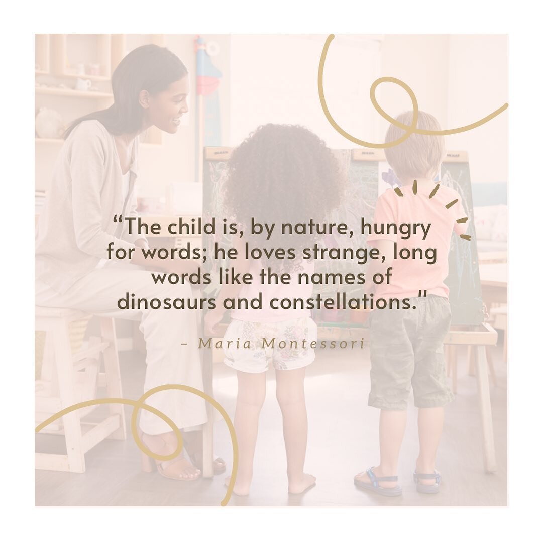 Exposure to new &amp; complex words can&rsquo;t happen soon enough. Your child is more capable than you know. 

Here are a few ways to feed your child&rsquo;s hunger for new words:

💫 Provide access to both fiction and nonfiction texts
💫 Utilize na