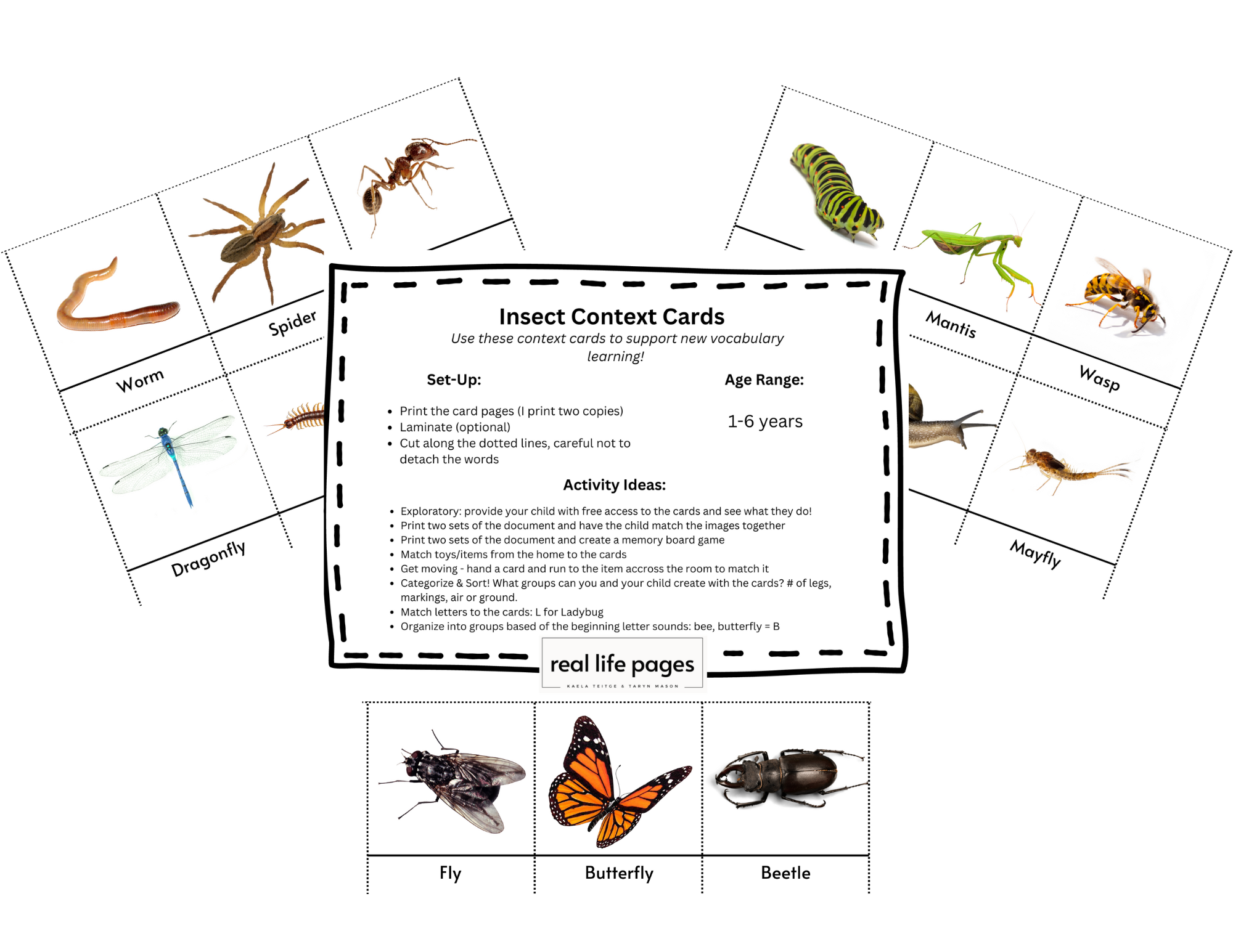 Insect Montessori 3 Part Cards