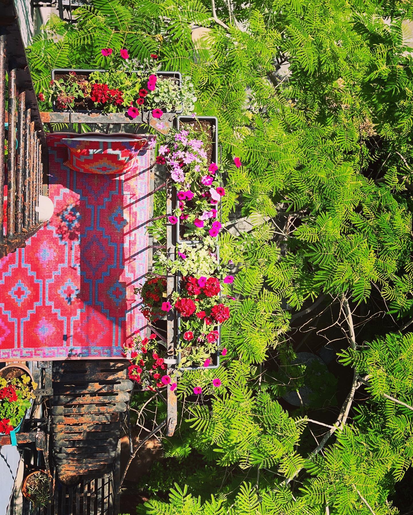 🌱 This past weekend I planted this year&rsquo;s &ldquo;garden&rdquo;!🌷

When you live in New York City [most] people have to sacrifice living space for the opportunity to call this crazy city home. This includes access to your own personal outdoor 