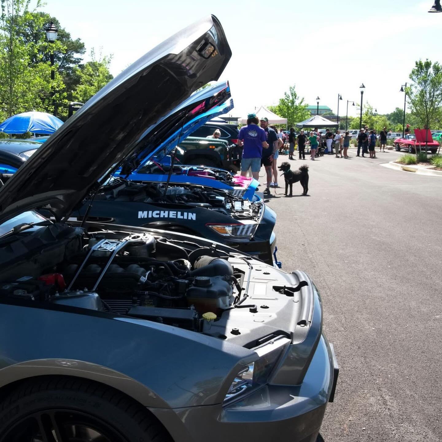 🚨 4 weeks until the Show!

Mark your calendar for the 3rd Annual Cruising for Cancer Car Show 🚘 at @libbiemillrva on Saturday, June 14th from 9am - 12pm. Come out and spend a few hours checking out Richmond&rsquo;s sweetest rides, listen to music, 