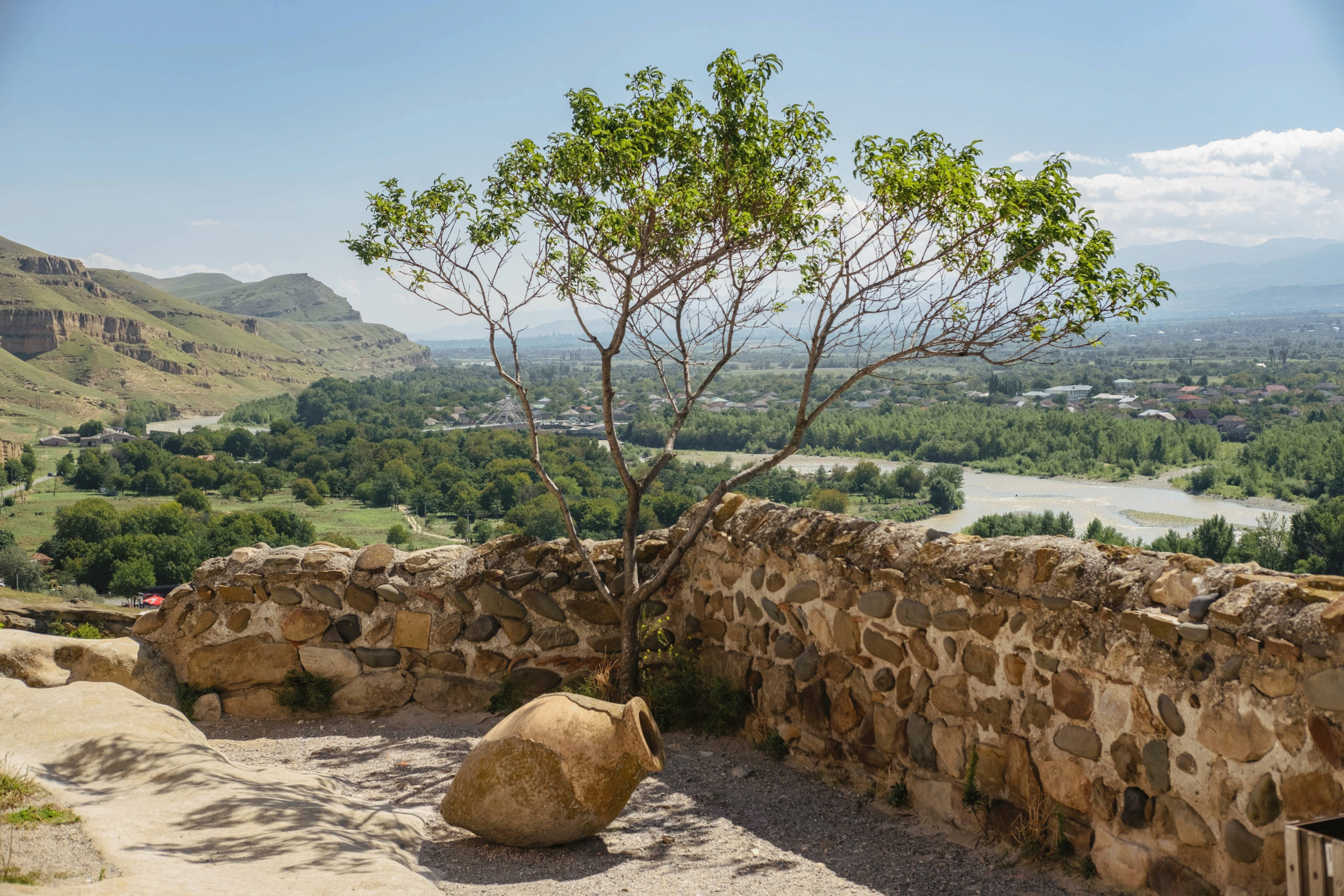 Tree & Wine Jar | 2026 | Uplistsikhe, Georgia