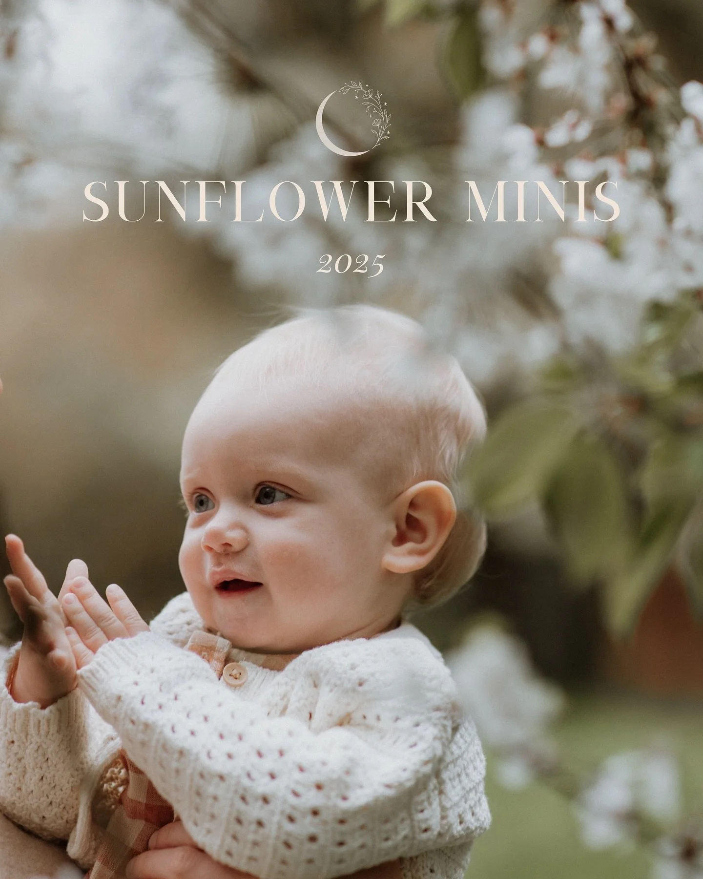 SUNFLOWER MINIS 2025

Something a little different from me this year. I&rsquo;ve decided to release a few slots for some mini sessions in the sunflowers 🌻 

I&rsquo;m running a very limited number of sessions to avoid the crowds. All information can