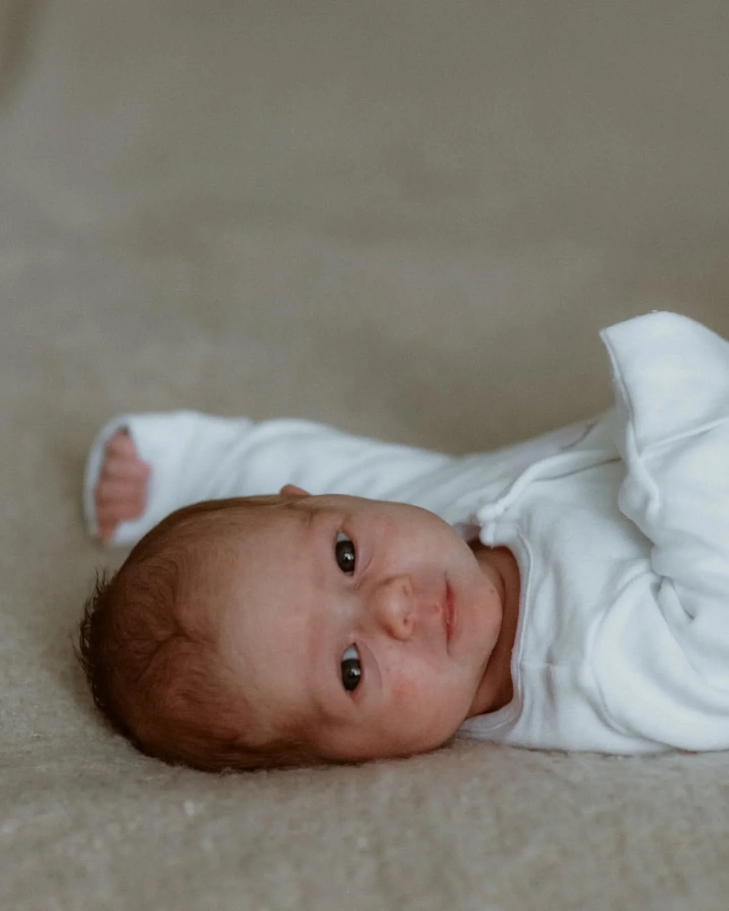 My final shoot of 2025 and what a beautiful one it was! This gorgeous little dot, a mere 2.5 weeks old, wide awake and inquisitive, a mum and dad in the midst of the chaos of the newborn days, smashing it, and not forgetting Stanley the dog, who was 