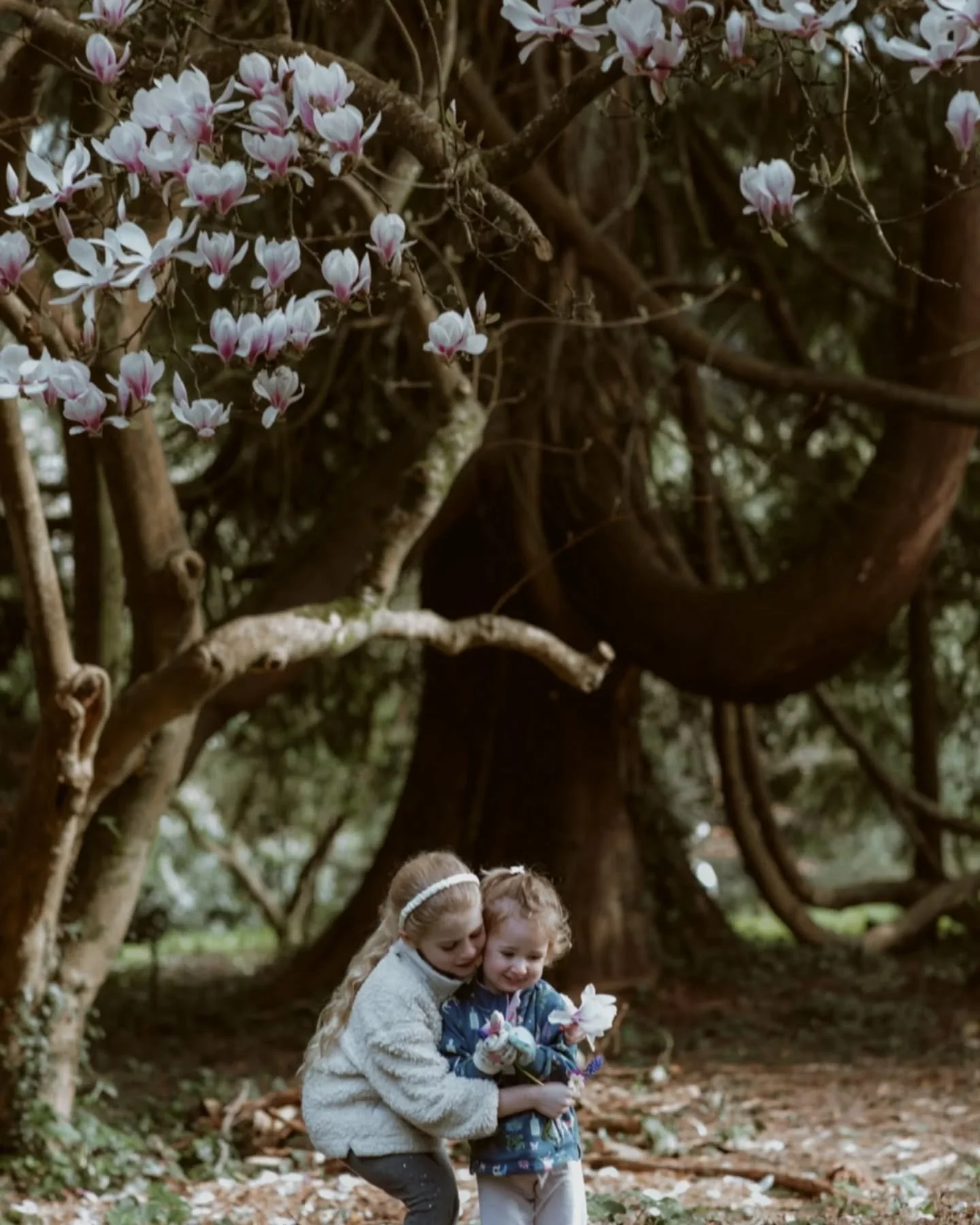 The first preview of one of my lovely springtime mini sessions last week ✨

When someone books me again and I get to see how much their little ones have grown it is such a joy and one I don't take for granted ❤️ 

#exeterphotographer #exeterfamilypho