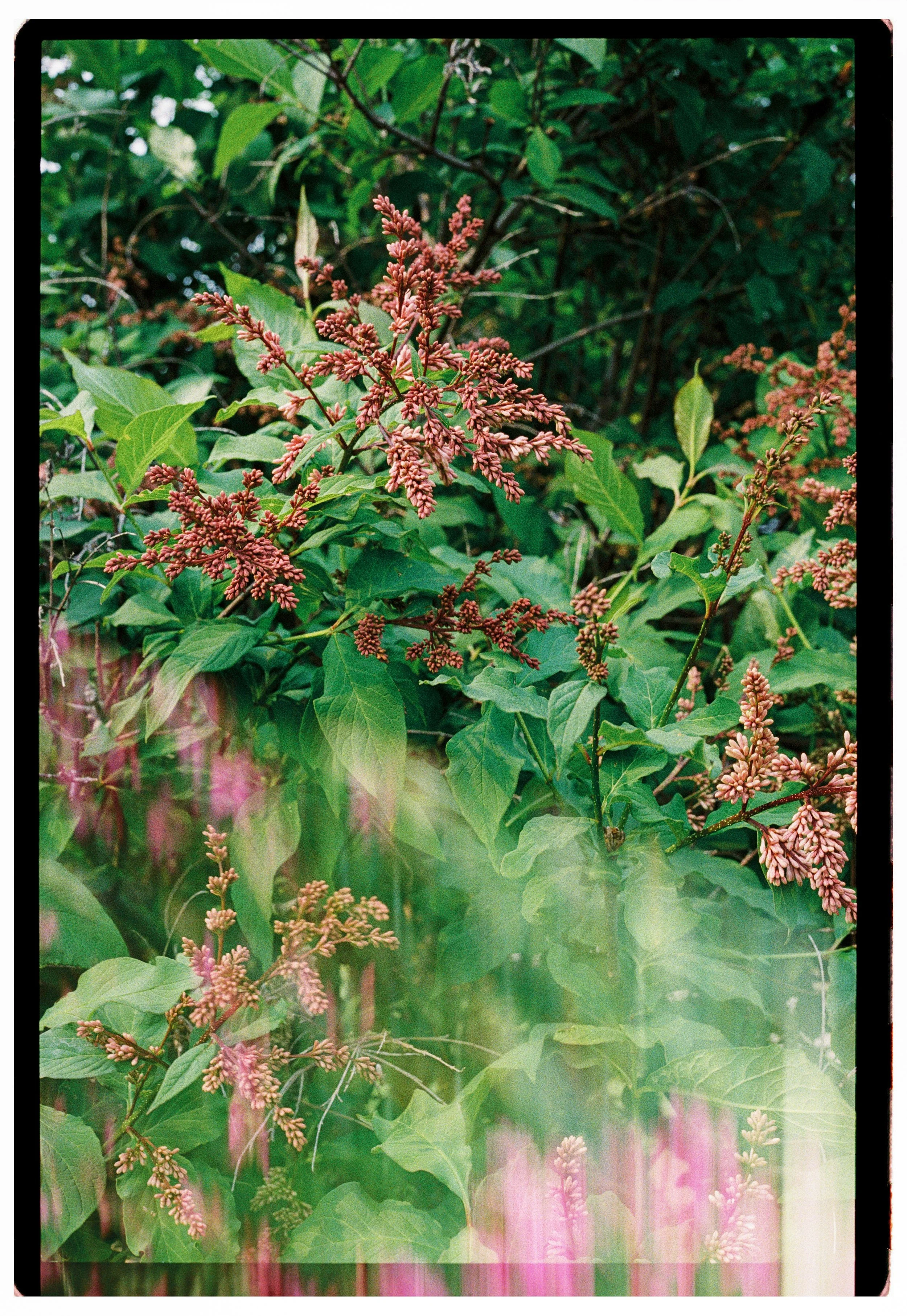 Wedding details photographed on 35mm film by Ottawa analog wedding photographer