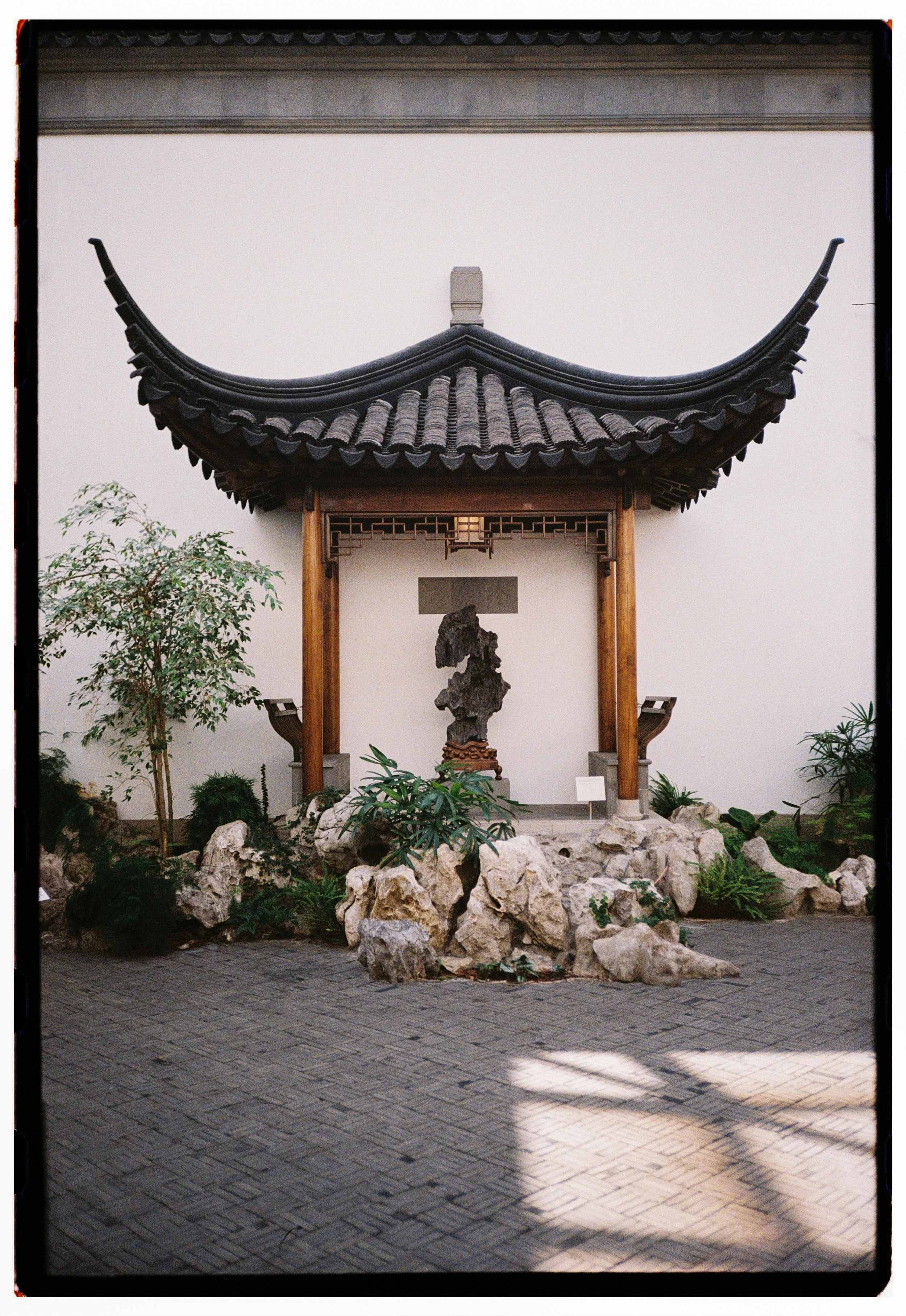 Ottawa family film photographer documenting everyday family moments on analog film