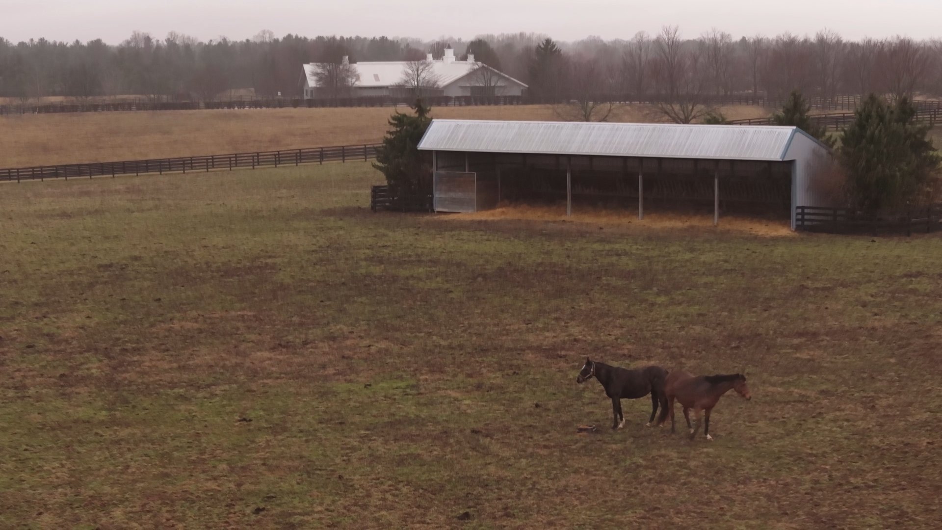 Timeline 1_01_04_27_20.jpg