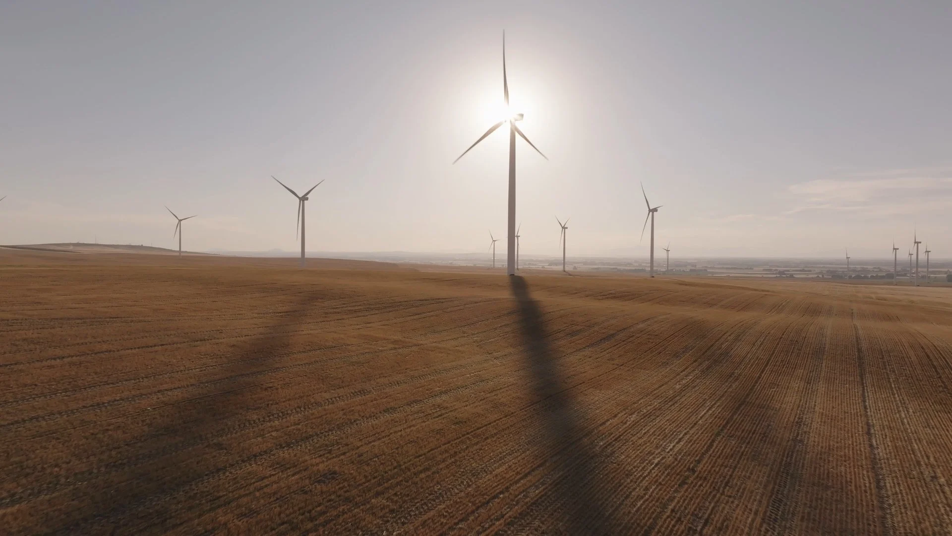 Timeline 1_01_00_50_14.jpg