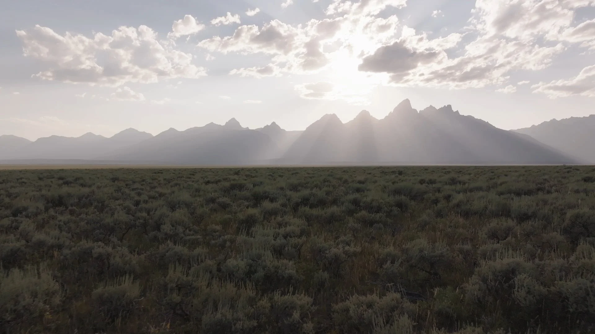 Timeline 1_01_01_01_05.jpg