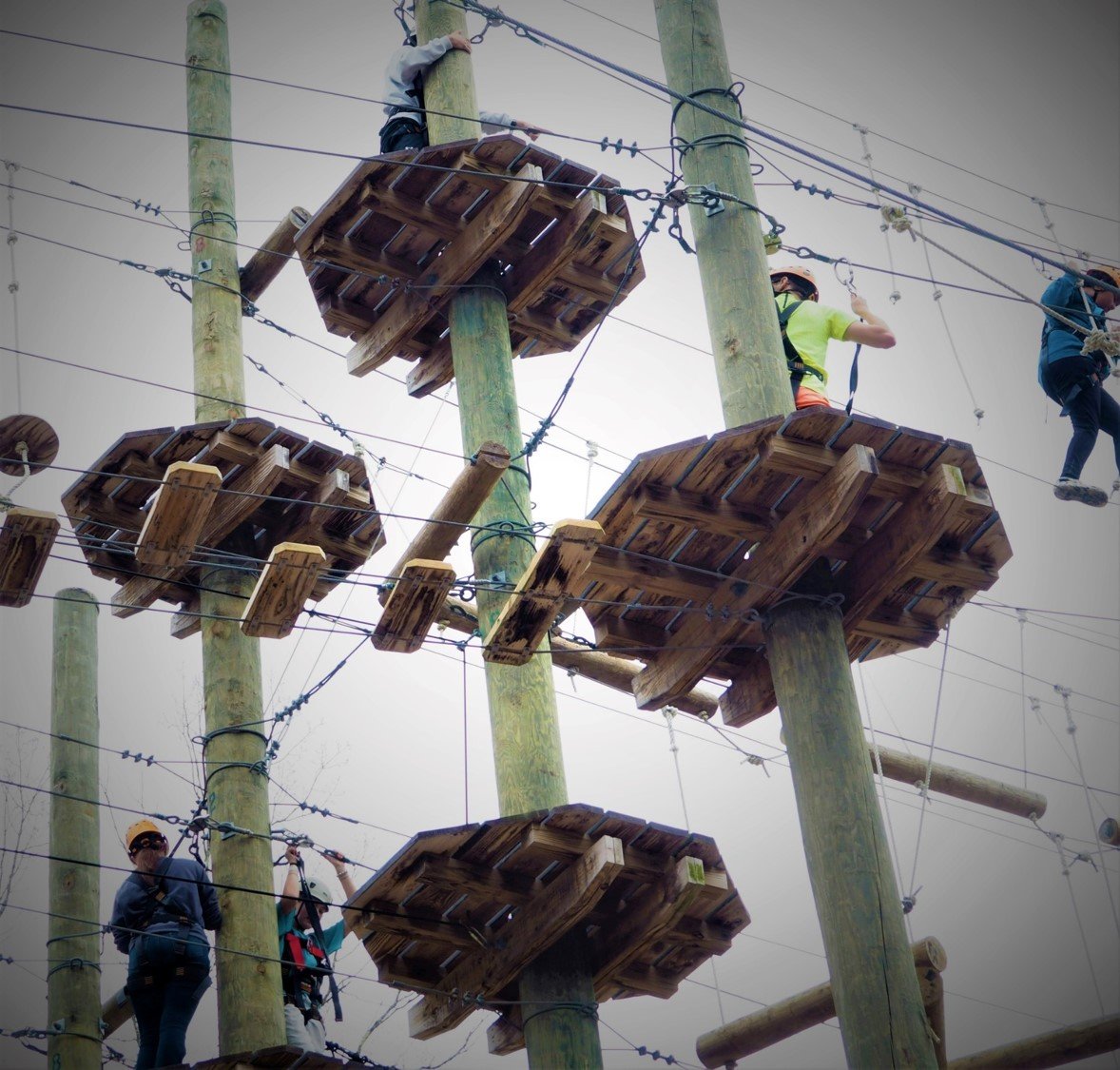 High Ropes.jpg