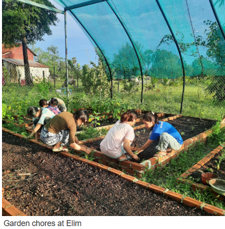 Elim garden chores.PNG