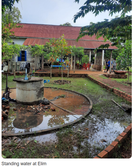 Elim standing water.PNG