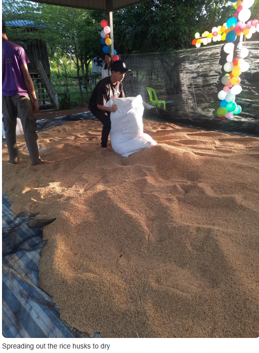 drying rice.PNG