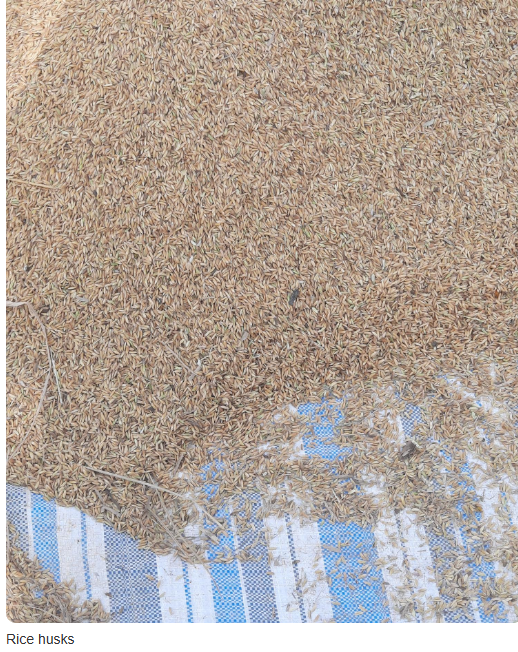 rice husk.PNG