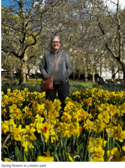 Daffidils.PNG