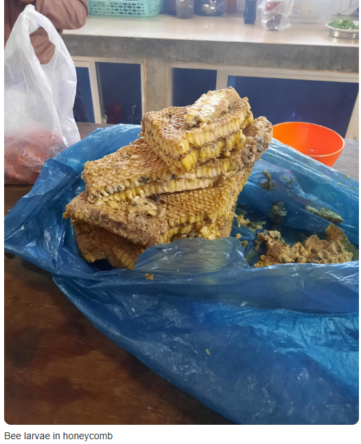 honeycomb.PNG