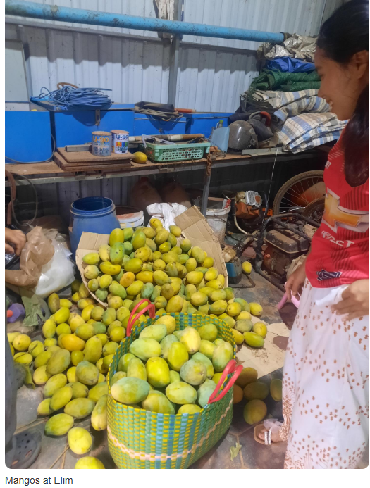 mangos.PNG
