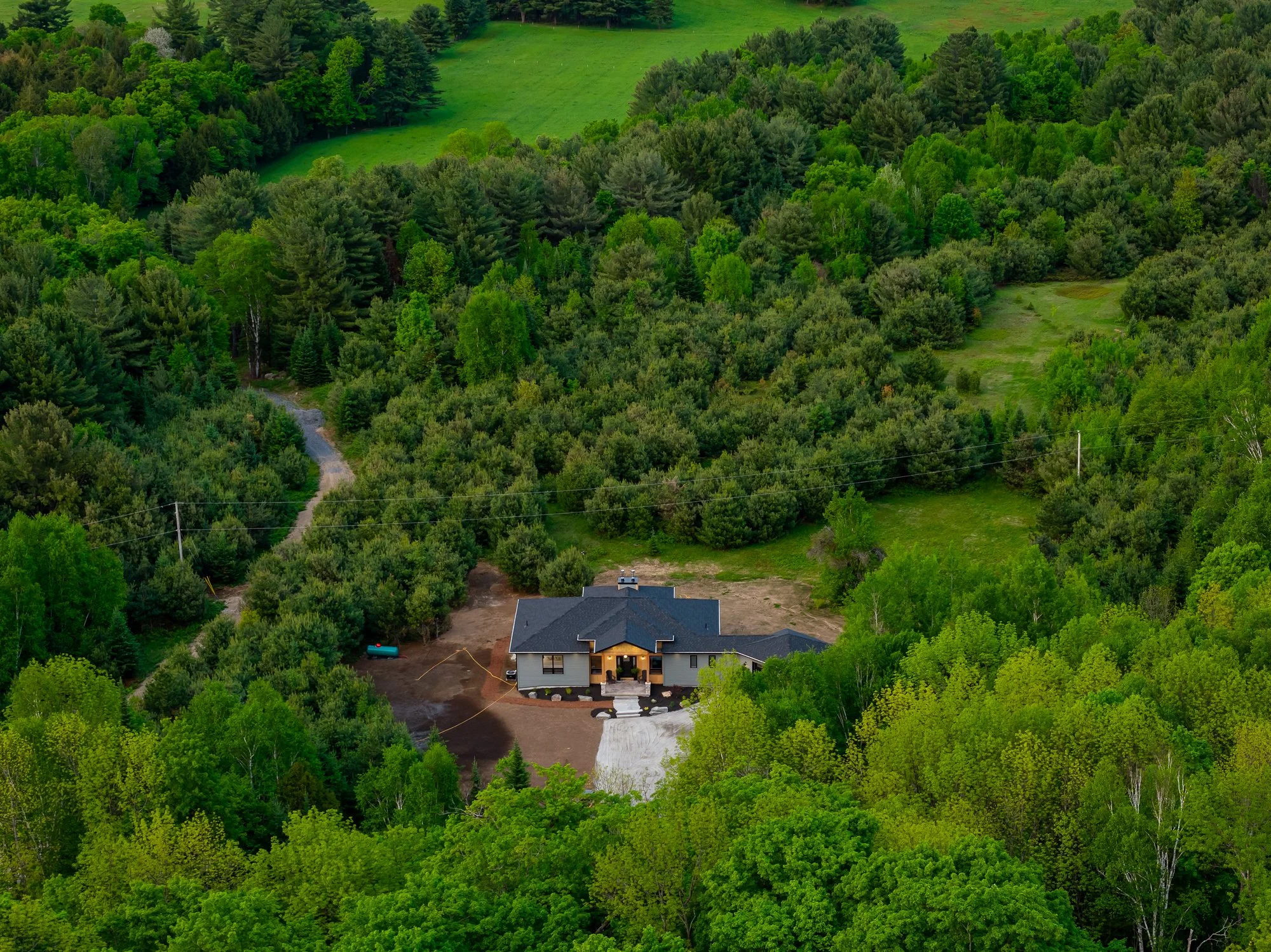 175 Springfield-79.jpg