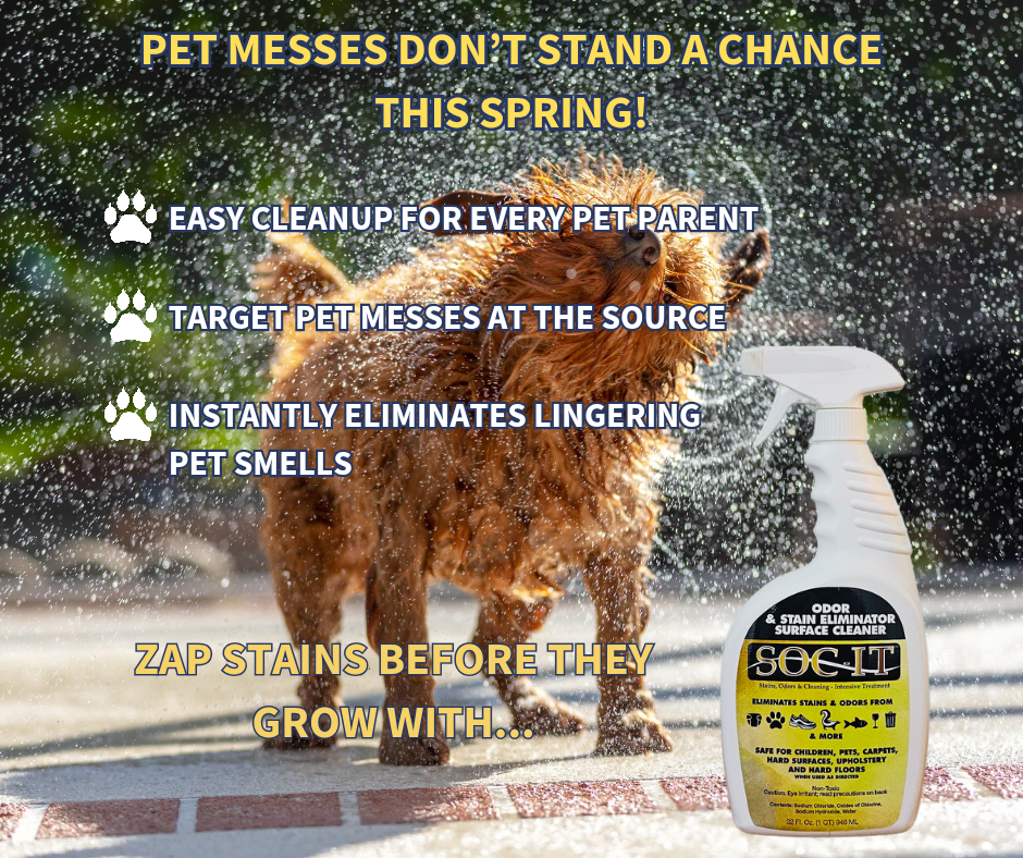 pet messes dont stand a change.png