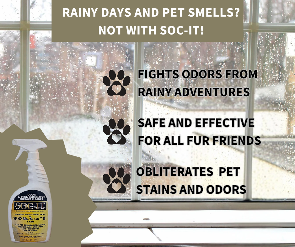 rainy days pet smells.png