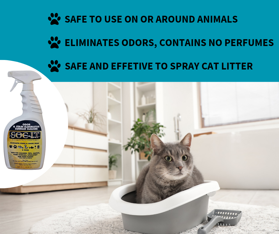 socit safe around animals.png