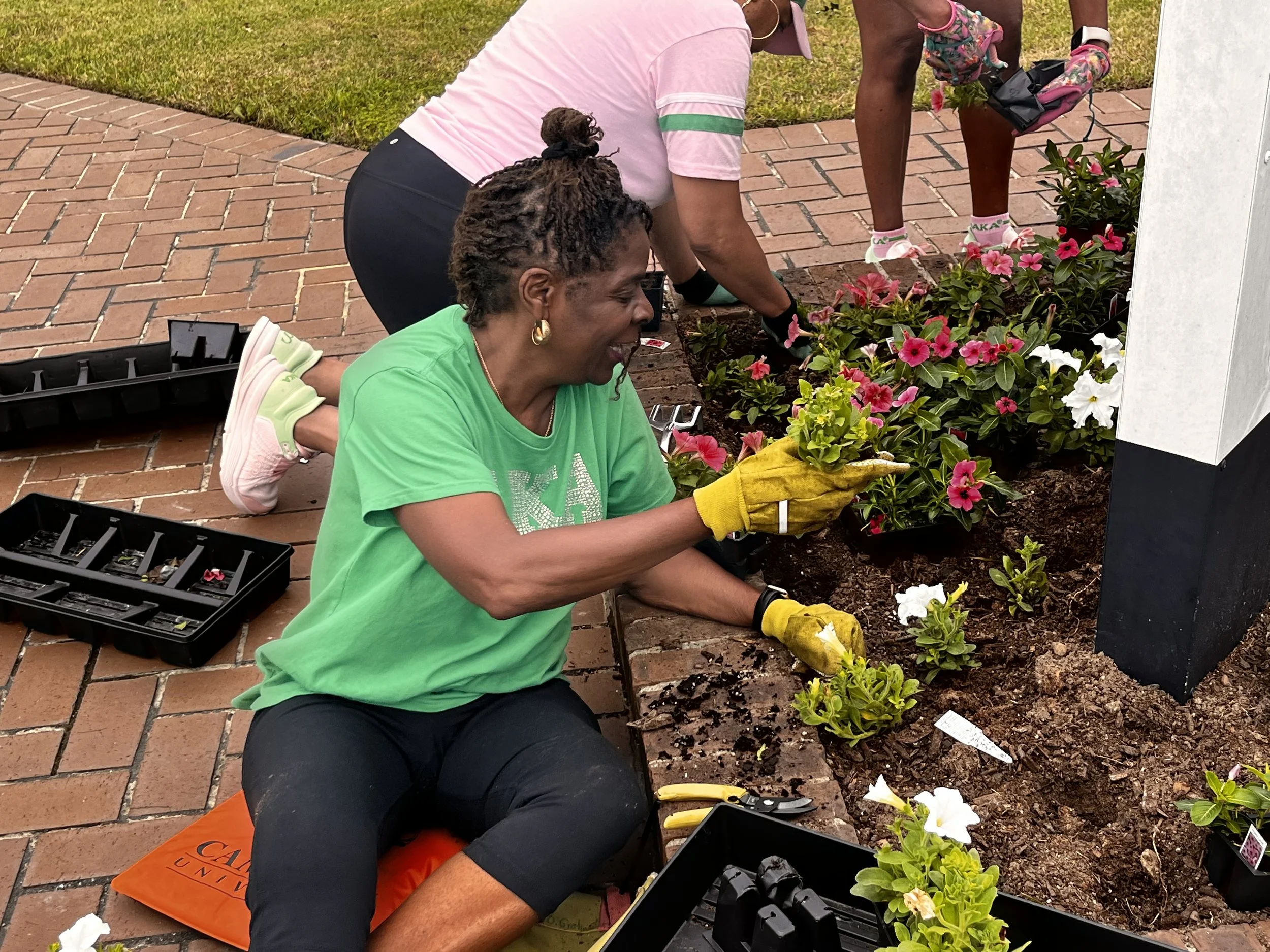 Playground Mobilization