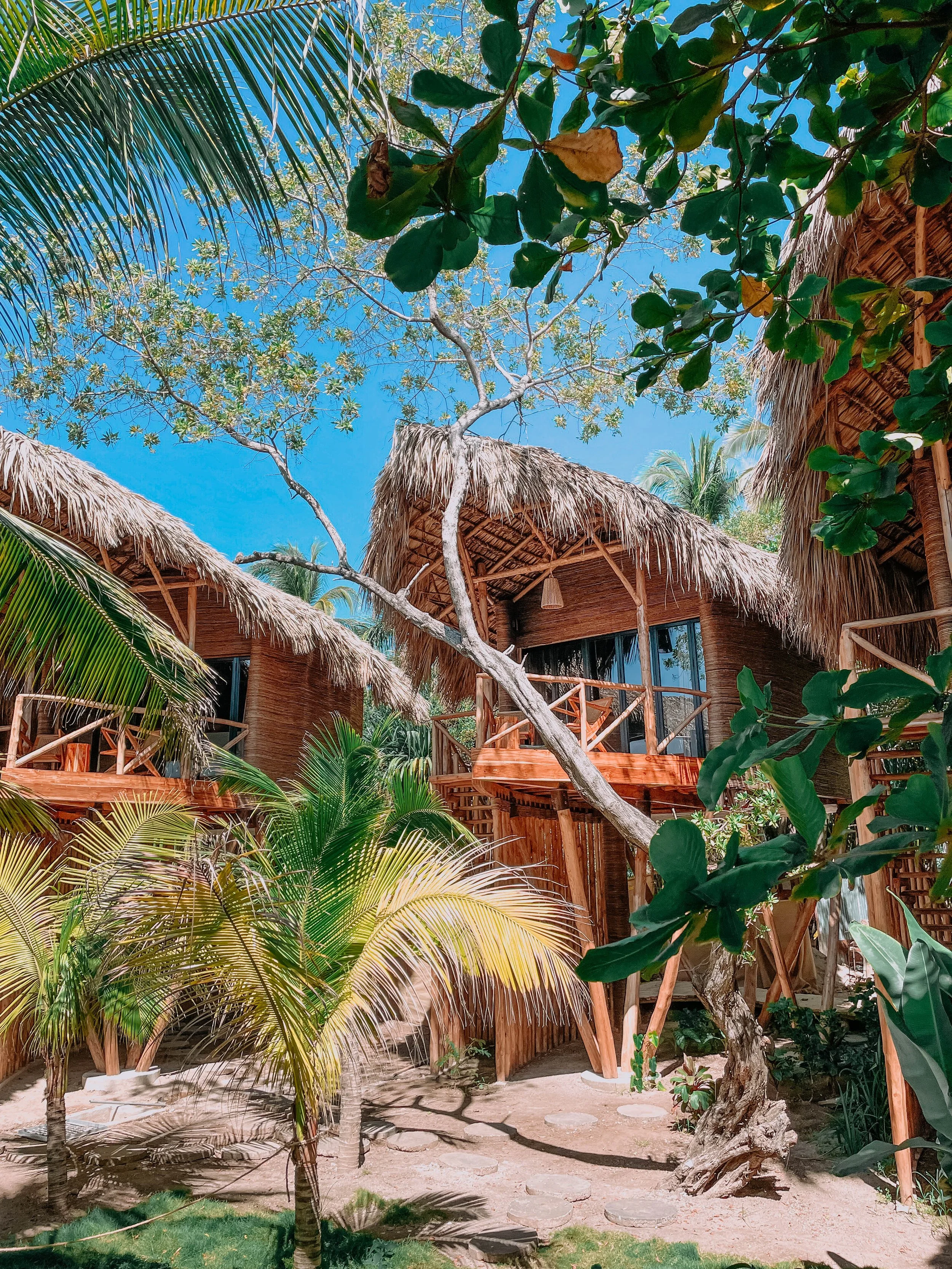 Copy of Jungle-Treehouse-Garden-View.jpg