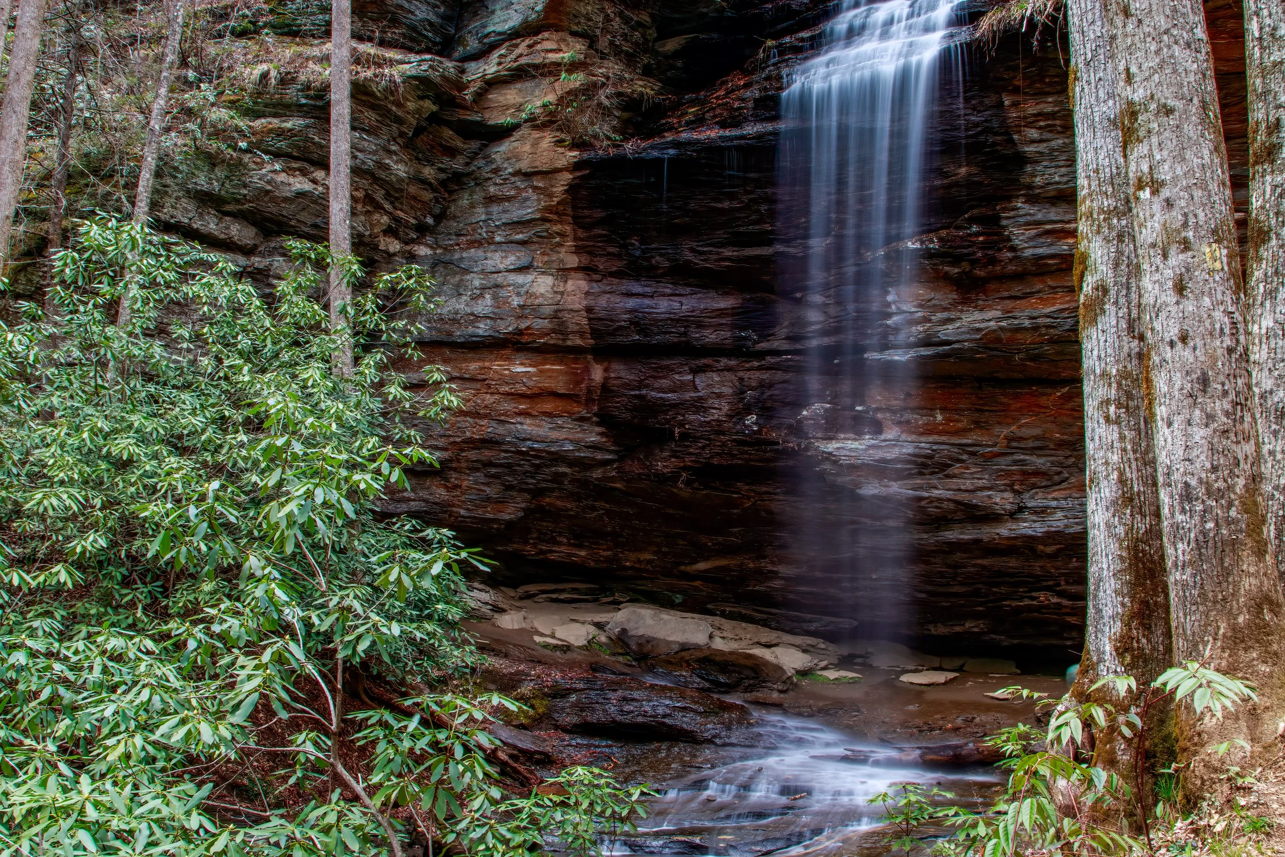 Moore Cove Falls