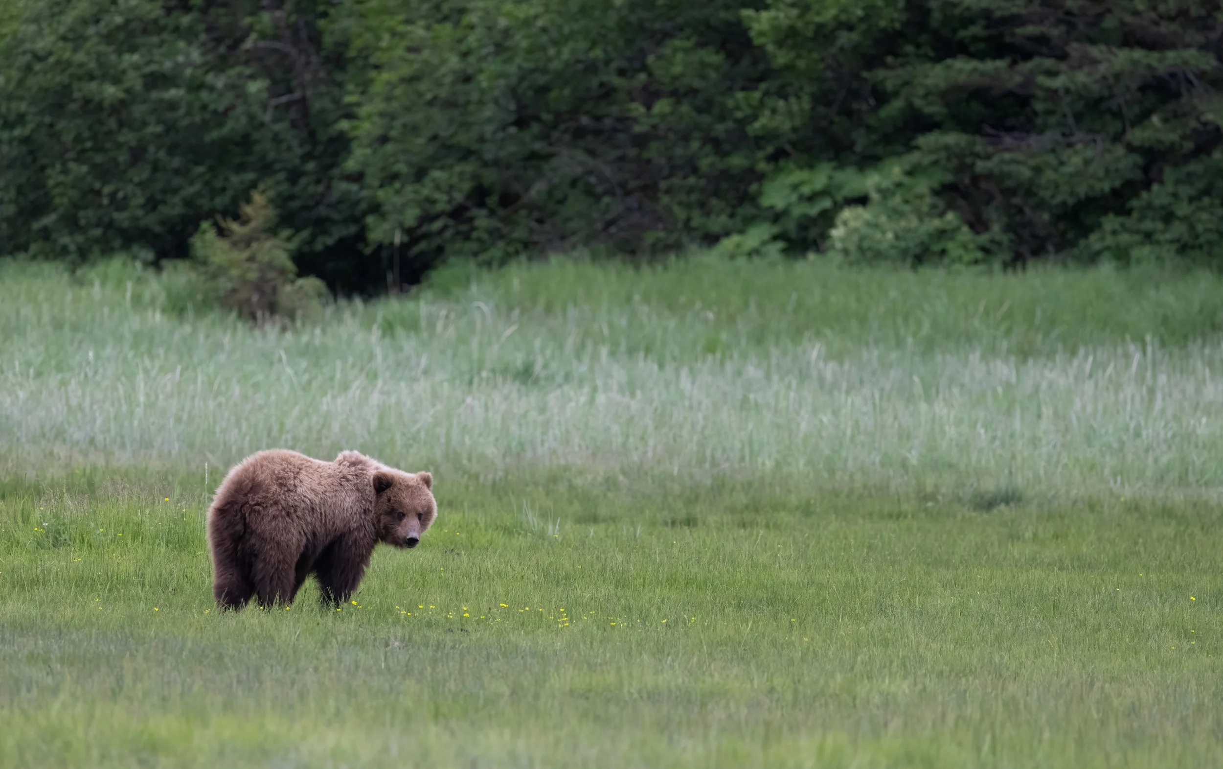 20240625-4J7A1044-Edit.jpg