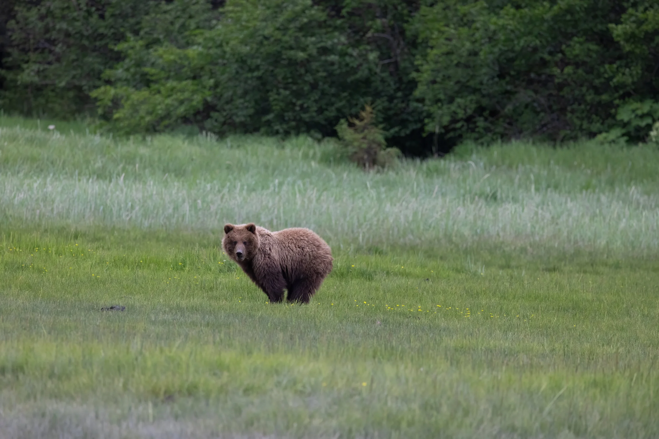 20240625-4J7A1084-Edit.jpg