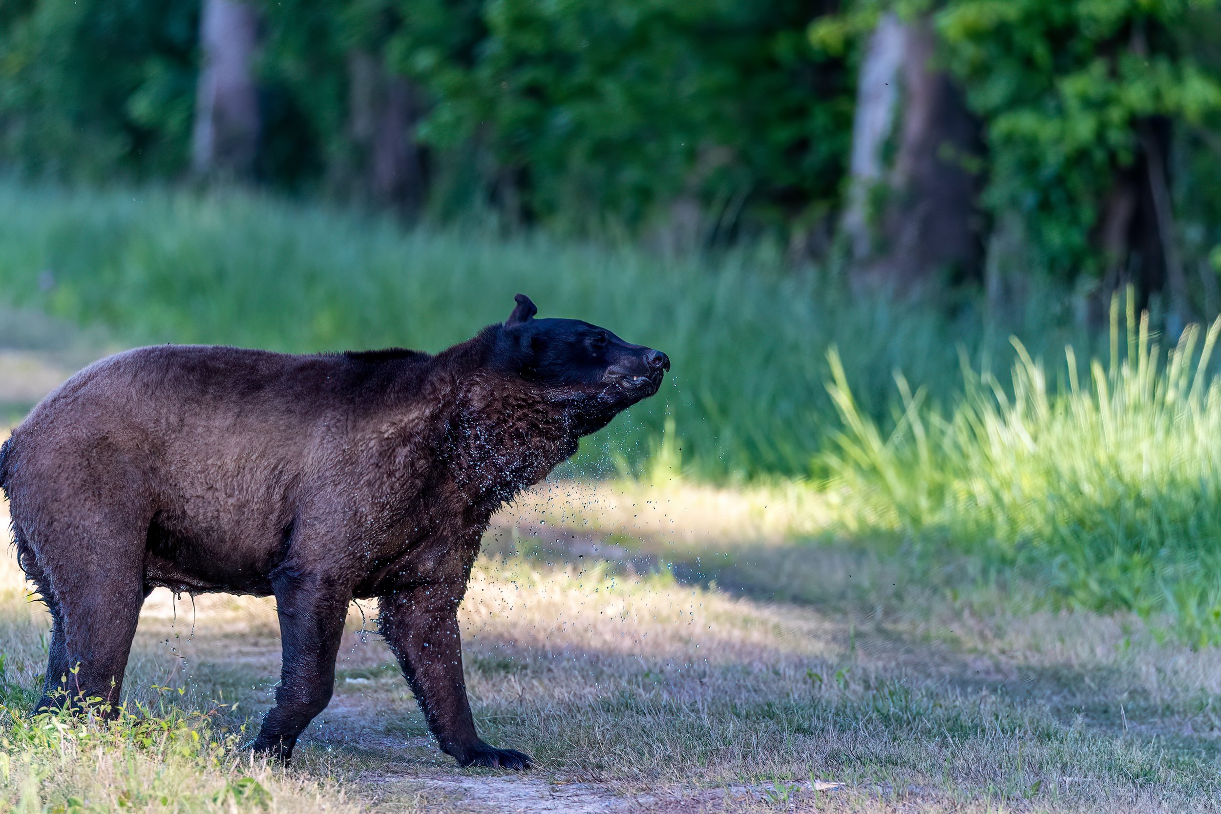 20210426-_70A2724-Edit-2.jpg