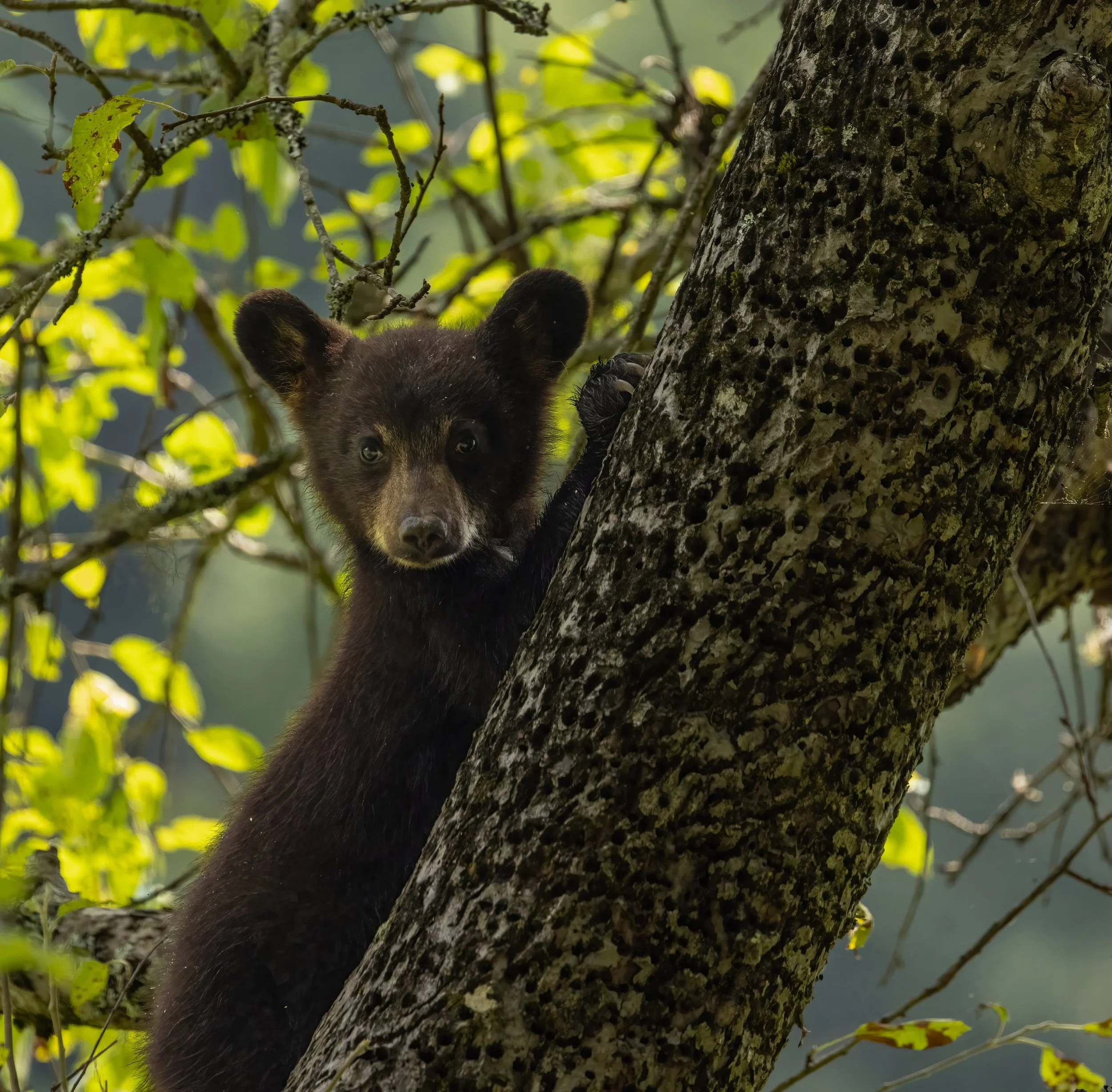 20260704-4J7A7546-Edit.jpg