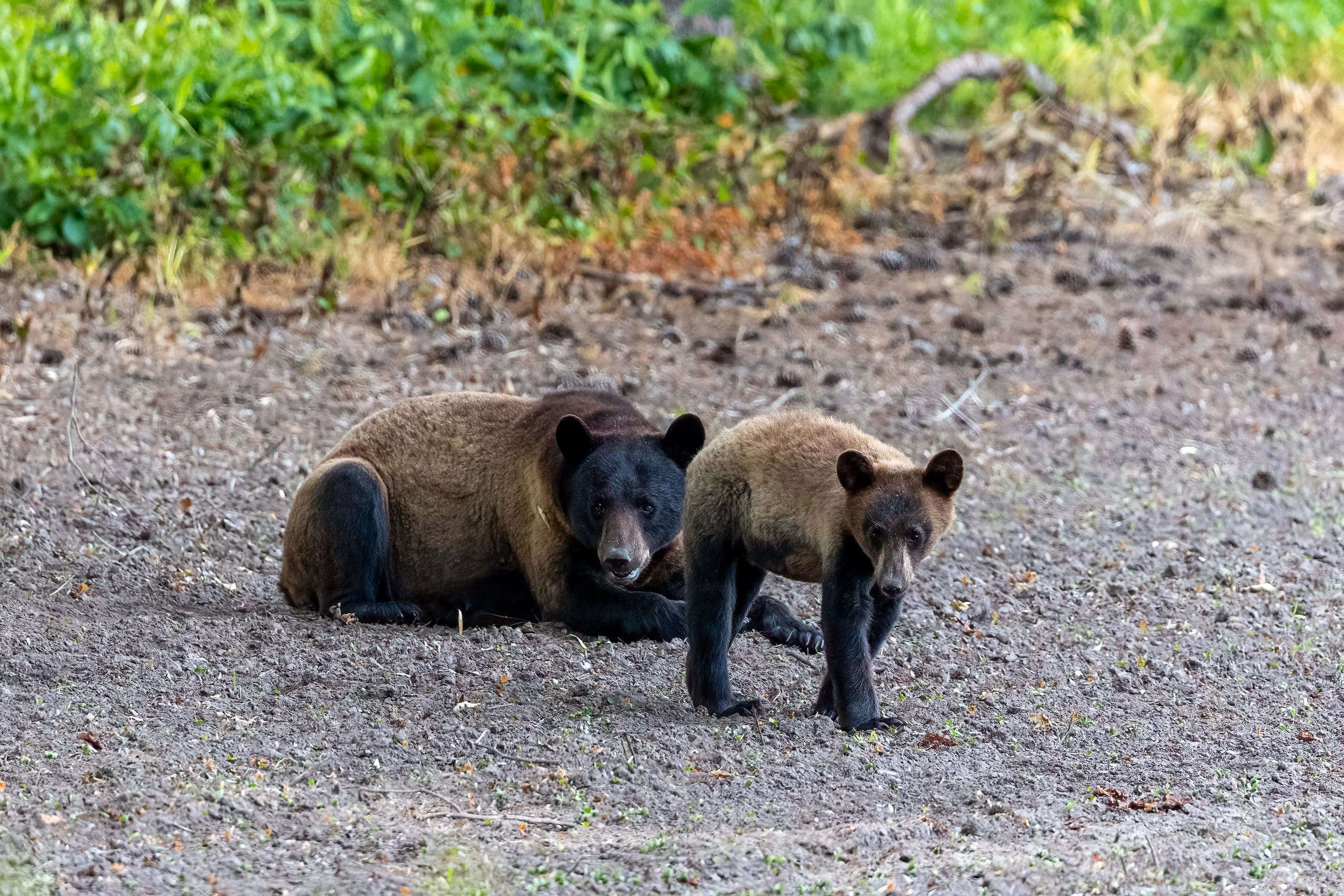 20210522-B70A7574-Edit.jpg