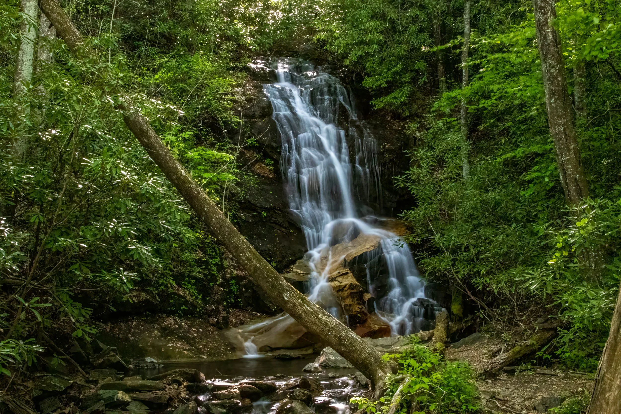 Log Hollow Falls