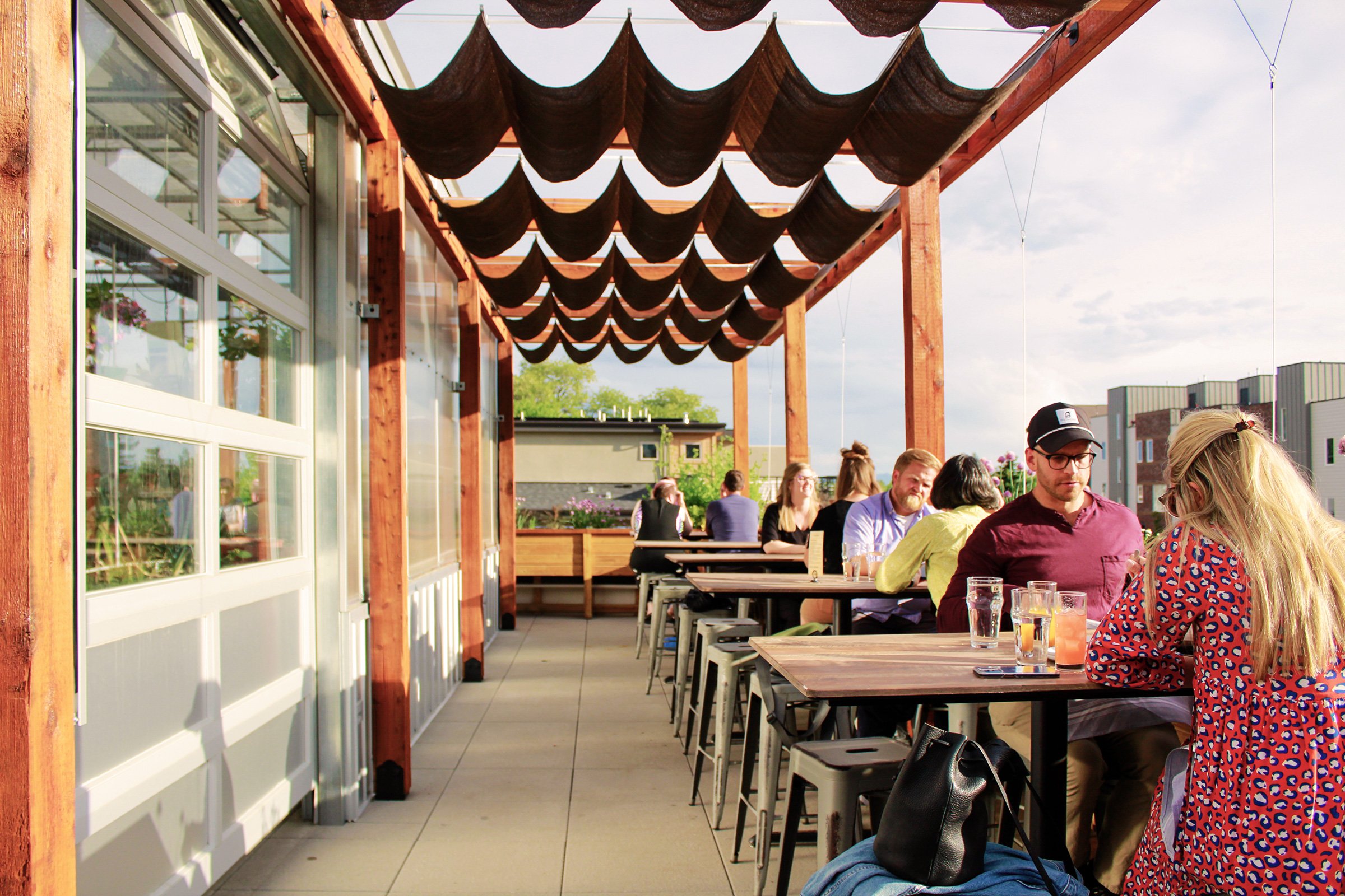 The Feedery at Grow + Gather