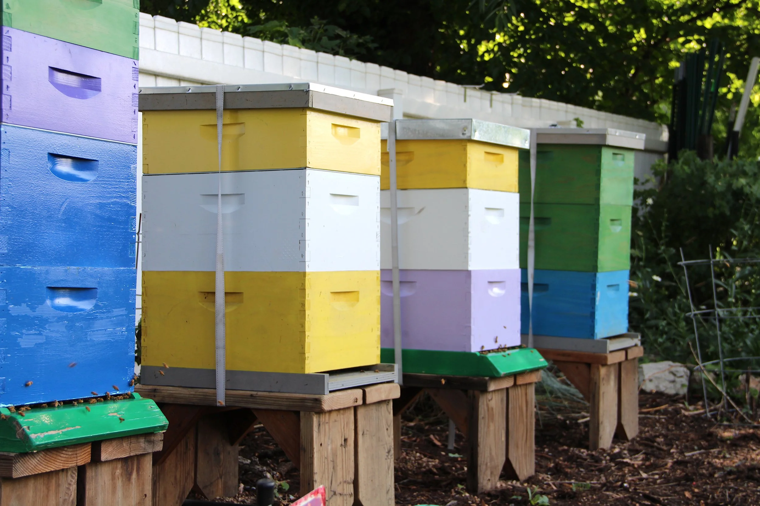 Grow + Gather — The Feedery at Grow + Gather