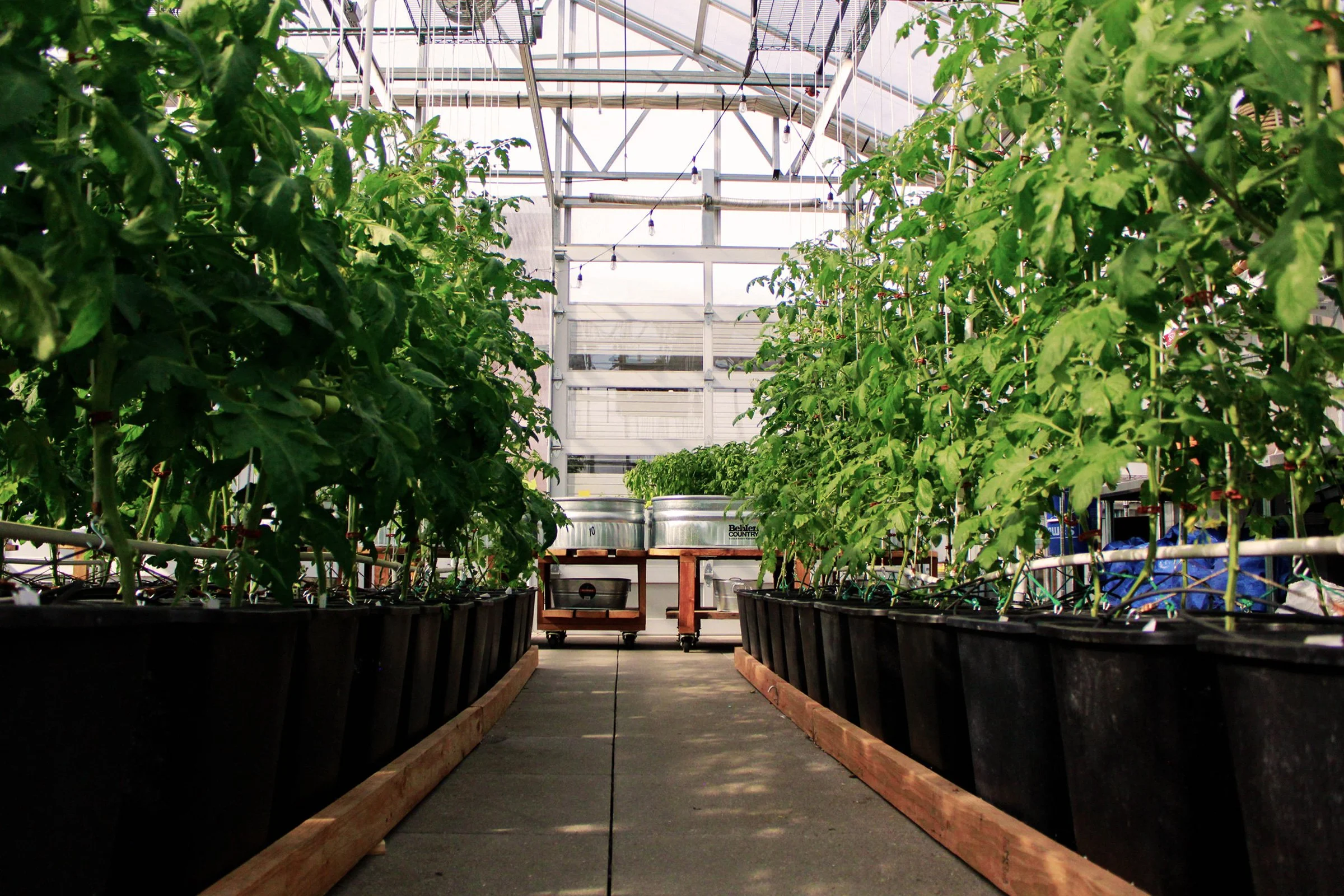 Grow + Gather — The Feedery at Grow + Gather