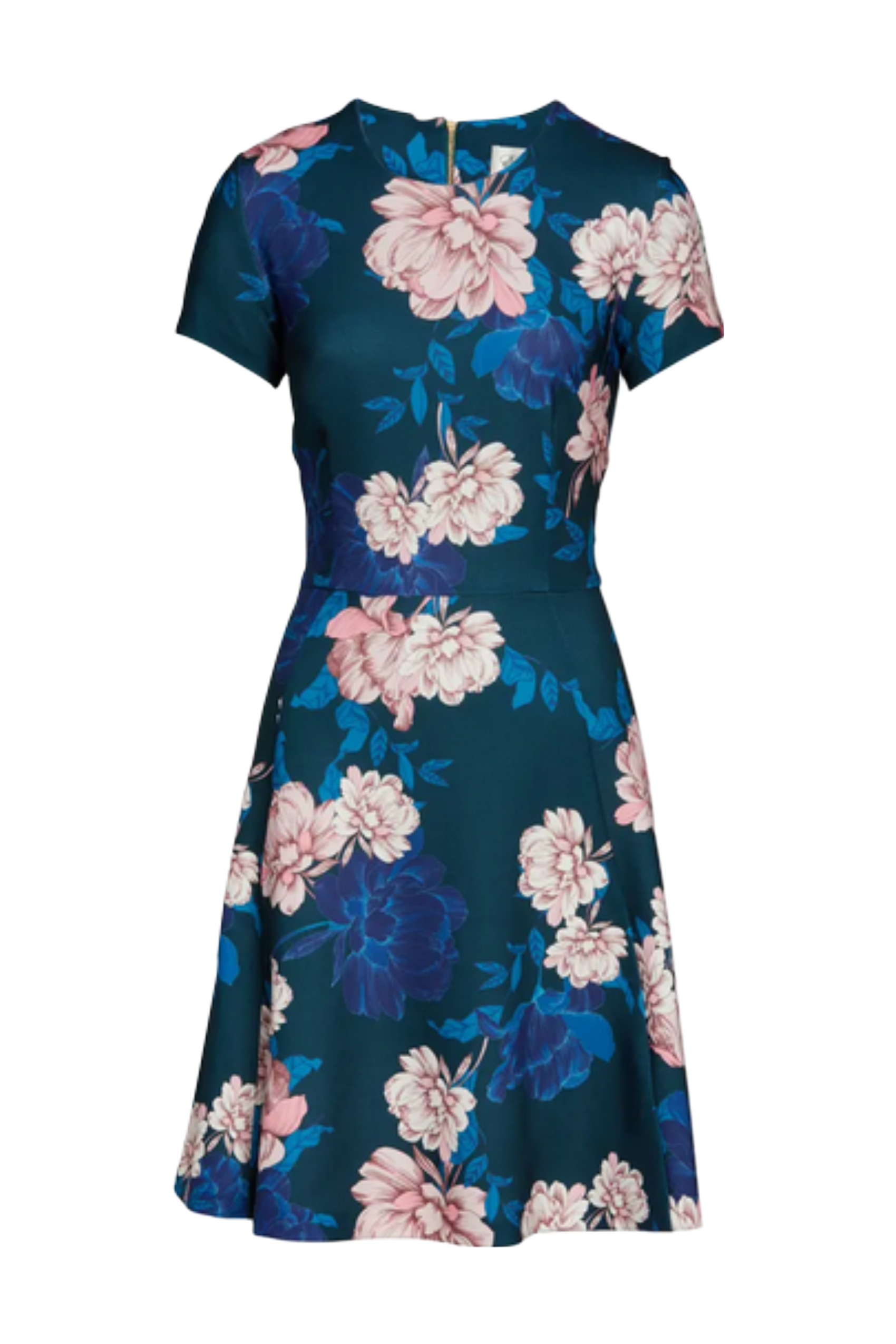 Eliza J | Floral Scuba Crepe A-Line Dress