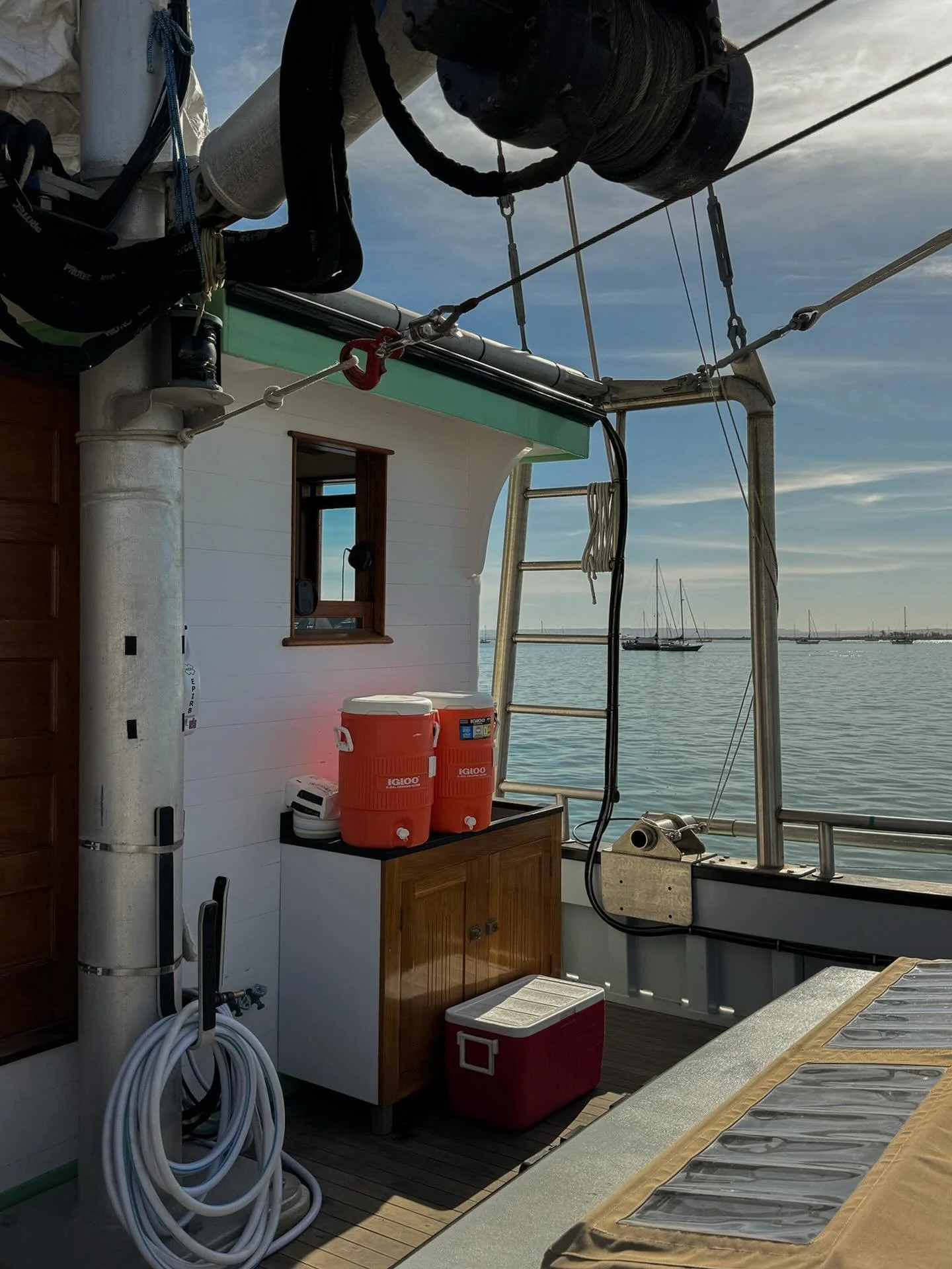 Western Flyer
Deck
1937
@westernflyerfoundation
@institutocosterobcs
#baja
#bajacaliforniasur
#seaofcortez
#westernflyer
#marinebiology
#oceanlife
#steinbeck
#ricketts
#FlyerReturn
#thespiritofbajarepublic
#keepbajabaja
