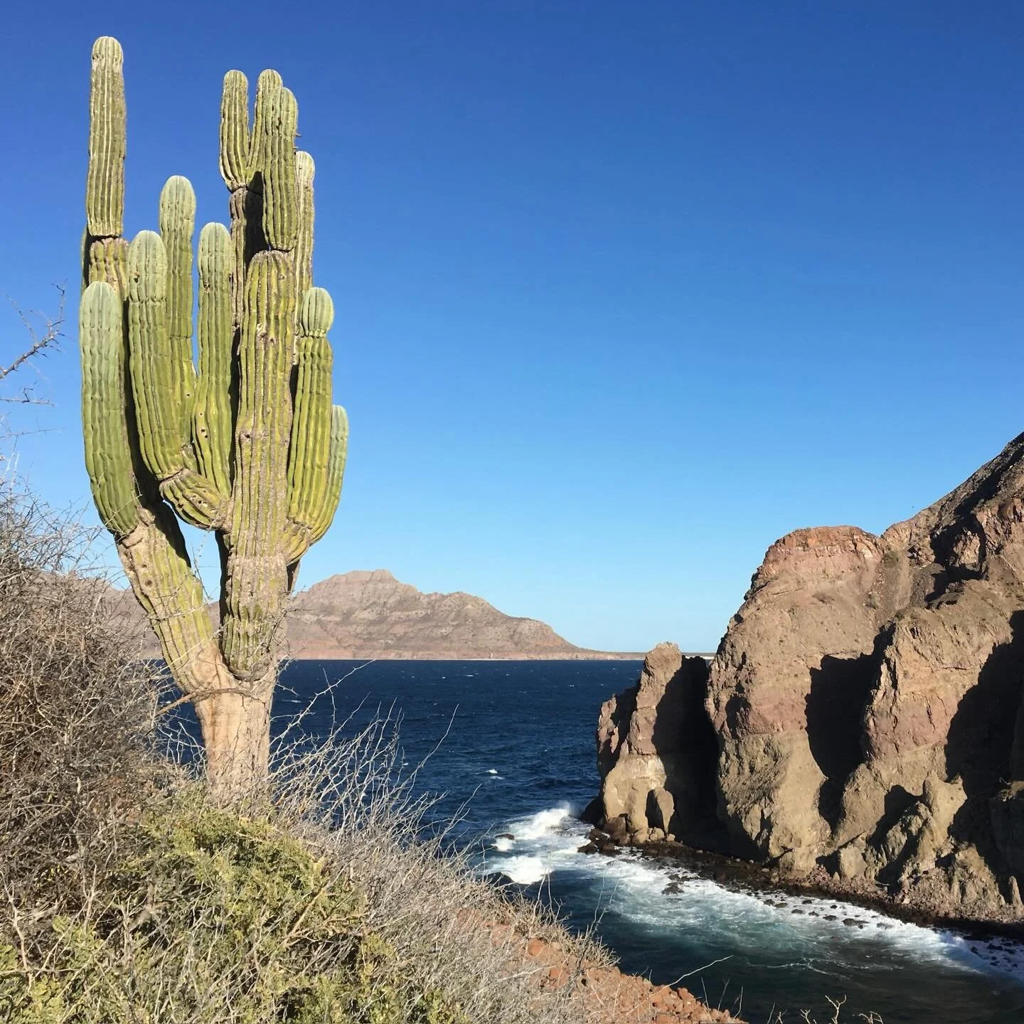 Isla Danzante looking NW at Isla del Carmen
@parquenacionalbahiadeloreto 
#thespiritofbajarepublic 
#keepbajabaja
