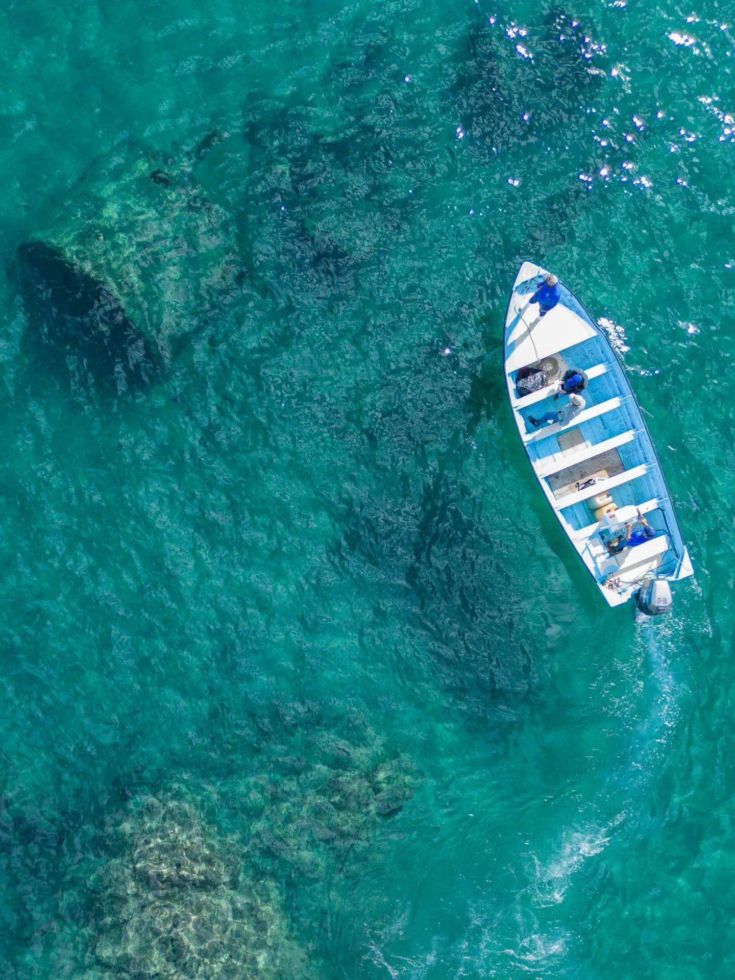 SS Indiana Shipwreck 
1909

@kaxaan_nf 
@omma______ 

#thespiritofbajarepublic 
#keepbajabaja