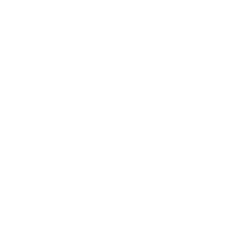 HomeLife 21, Inc.